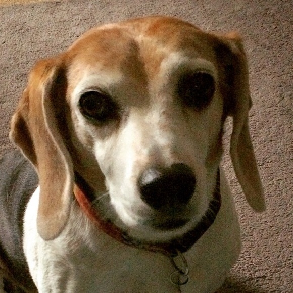 Meet your Posher, Crissy - Picture 1 of 1